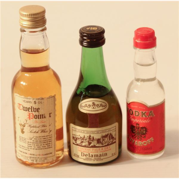 12 POINTER SCOTCH, DELAMAIN COGNAC, SUVAROFF VOD