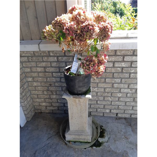 Pedestal with plant B