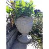 Image 4 : Planter A