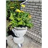 Image 3 : Planter A