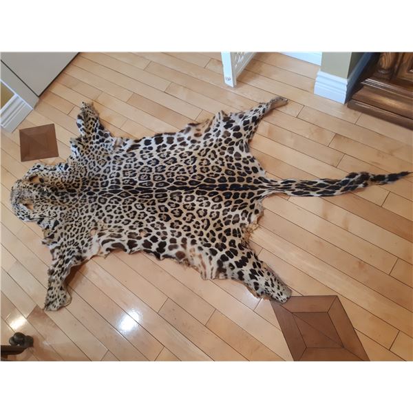 Say Shamee Leopard Pelt Cat A