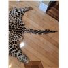 Image 2 : Say Shamee Leopard Pelt Cat A