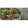 Image 5 : Outdoor Plant Containers Cat C