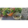 Image 6 : Outdoor Plant Containers Cat C