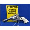 Image 1 : Restricted - Ruger New Model Blackhawk in 357 Magnum