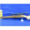Image 3 : Non-Restricted - Winchester Model 131 in 22 LR