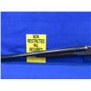 Image 3 : Non-Restricted - Stevens Model 311A in 12 Ga. 2 3/4"
