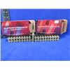 Image 1 : 243 Win. 58gr V-Max Hornady Varmint Cartridges