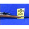 Image 7 : Non-Restricted - Winchester Model 69A in 22 LR