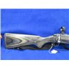 Image 6 : Non-Restricted - Ruger All Weather 77-17 in 17 HMR