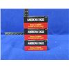 Image 2 : 9MM Luger 124gr FMJ American Eagle Federal Cartridges