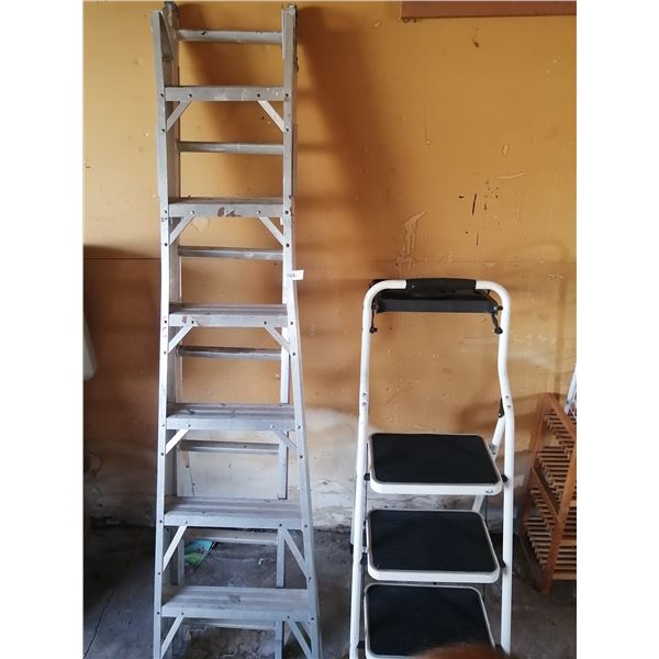 Eagle Step Stool and 12-ft Aluminum Sliding Ladder