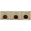 Image 1 : 1893, 1911 & 1913 1¢ ICCS MS63.  Lot of 3 coins.