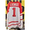 Image 1 : LUONGO TEAM CANADA JERSEY