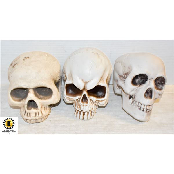 BOX OF 3 WHITE SKULLS