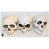 BOX OF 3 WHITE SKULLS