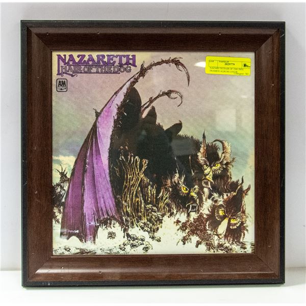 NAZARETH HAIR OF THE DOG FRAMED ALBUM COVER