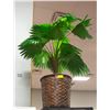 MEDIUM SIZE ARTIFICIAL PLANT WITH WICKER PLANTER