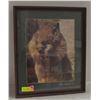 Image 1 : FRAMED GOPHER WALL HANGING 16" X 19"