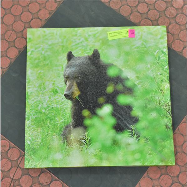 BEAR PRINT APPROX 16  X 16 