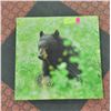 Image 1 : BEAR PRINT APPROX 16" X 16"