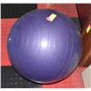 Image 1 : PURPLE EXERCISE BALL