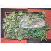 Image 1 : FLAT OF VARIOUS FAUX PLANTERS