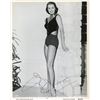 Image 1 : Cyd Charisse signed photo