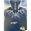 Image 1 : Black Panther Chadwick Boseman and Stan Lee signed movie photo