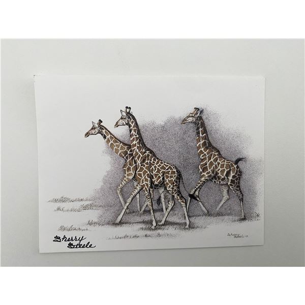 Sherry Steele signed Giraffes Postcard