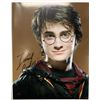 Image 1 : Daniel Radcliffe signed photo