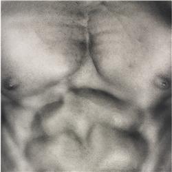 Robert  Mapplethorpe untitled (chest)