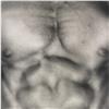 Image 1 : Robert  Mapplethorpe untitled (chest)