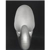 Image 1 : Edward Weston Nautilus