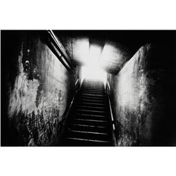 Daido Moriyama Kaiden