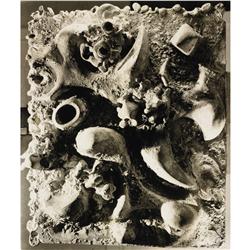 Theodore Roszak Surface Embellishments for MIT Bell Tower and Spire