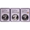 Image 1 : Lot of 1991-1993 $1 Proof American Silver Eagle Coins NGC PF69 Ultra Cameo