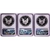 Image 2 : Lot of 1991-1993 $1 Proof American Silver Eagle Coins NGC PF69 Ultra Cameo