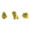 Image 2 : Lot of Gold Nuggets 5.59 Grams Total Weight