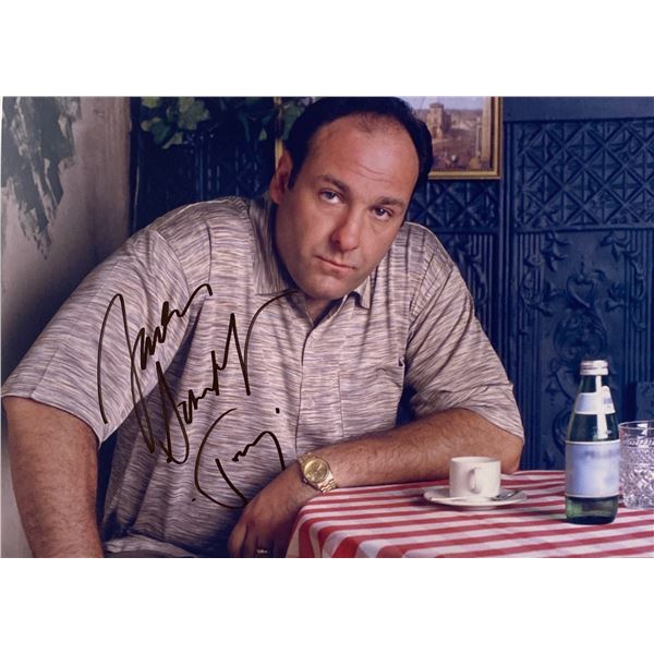 Autograph Signed  The Sopranos Photo