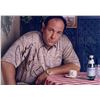 Image 1 : Autograph Signed  The Sopranos Photo