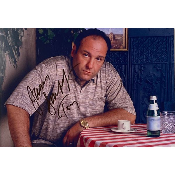 Autograph Signed  The Sopranos Photo
