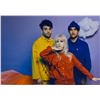 Image 1 : Autograph Signed  Paramore Photo
