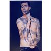 Image 1 : Autograph Signed  Adam Levine Photo