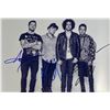 Image 1 : Autograph Signed  Fall Out Boy Photo