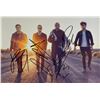 Image 1 : Autograph Signed  Fall Out Boy Photo