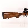 Image 8 : CUSTOM Whitworth Express .458 Rifle B275008
