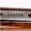 Image 11 : Winchester 1906 .22short Pump Rifle (C) 388326B