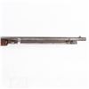 Image 6 : Winchester 1906 .22short Pump Rifle (C) 388326B