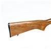 Image 8 : Daisy Model 2213 .22LR Rifle AC0100066